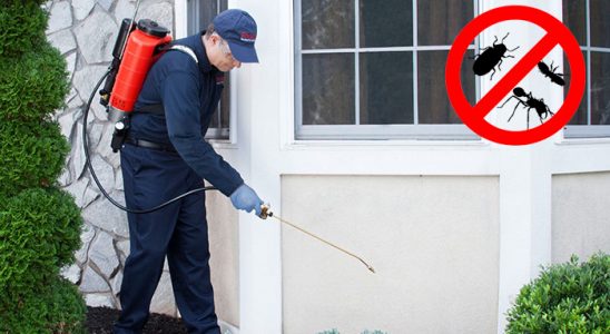 Karkamış Fare İlaçlama böcek ilaçlama ve haşere kontrolü — ilaclama-tr.com